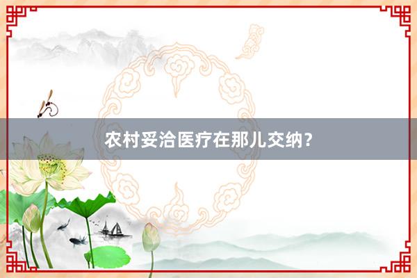 农村妥洽医疗在那儿交纳？