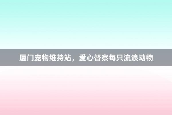 厦门宠物维持站，爱心督察每只流浪动物